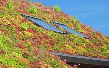 Brookhouses living roof systems