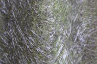 Brookhouses fibreglass roof work